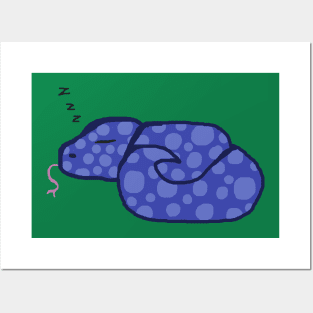 Sleeping Blue Spotted Snake Posters and Art